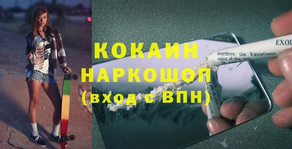 винт Осинники