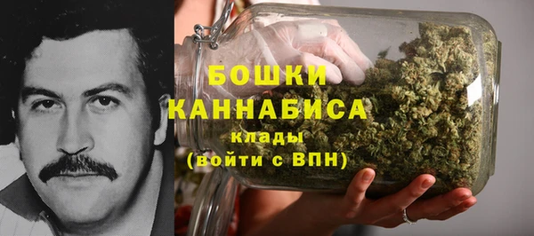 спиды Осташков