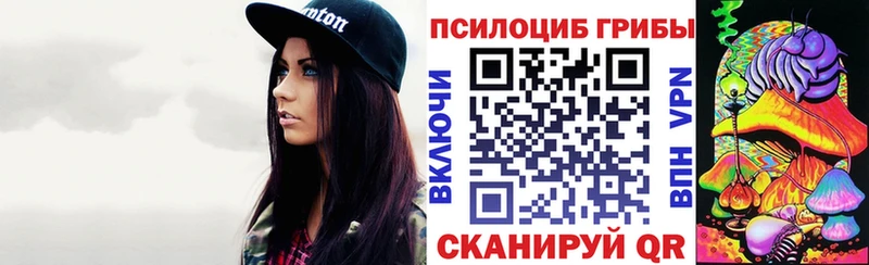 Галлюциногенные грибы Psilocybe  Ковылкино 
